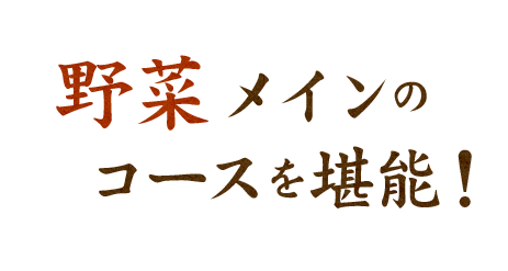 野菜メインのコースを堪能！